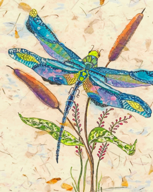 Dragonfly Painting By Numberss.png