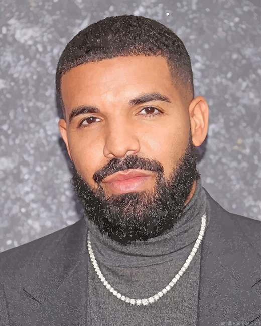 Drake Singer Painting By Numbers.png