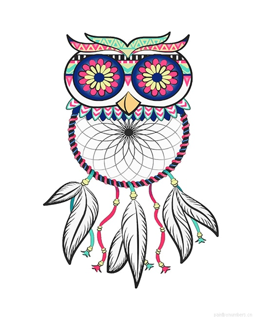 Dream Catcher Owl Painting By Numbers.png