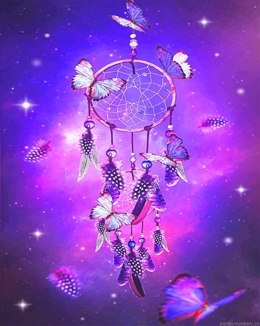 Dream Catcher With Butterflies Painting By Numbers.png