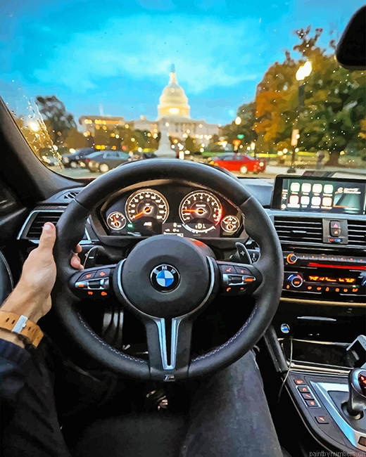 Driver Holding Bmw Steering Wheel Painting By Numberss.png