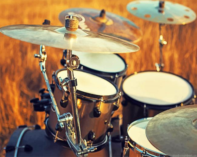 Drum Samples Instruments Music Painting By Numberss.png
