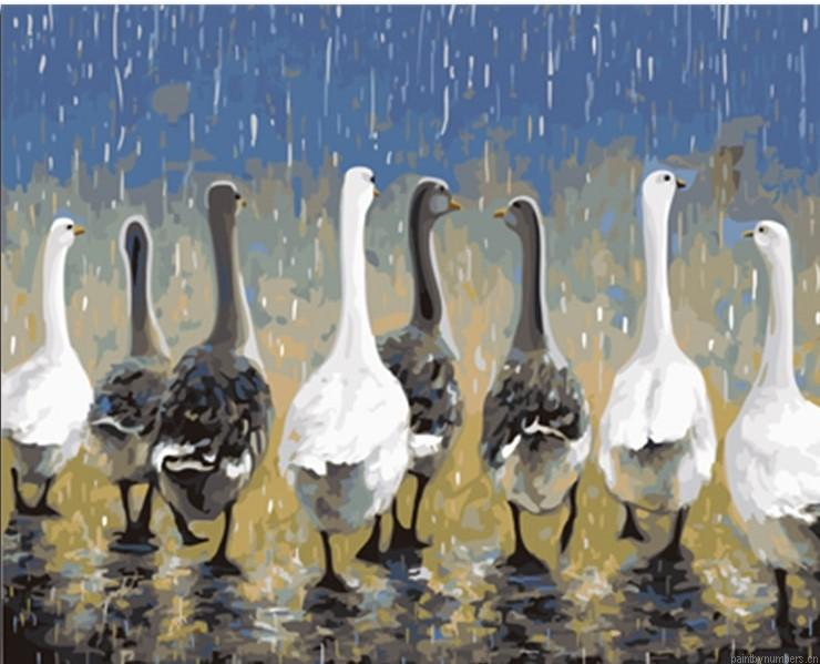 Ducks Group Birds Painting By Numbers.png