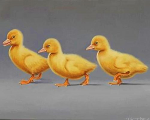 Ducks In A Row Painting By Numbers.png