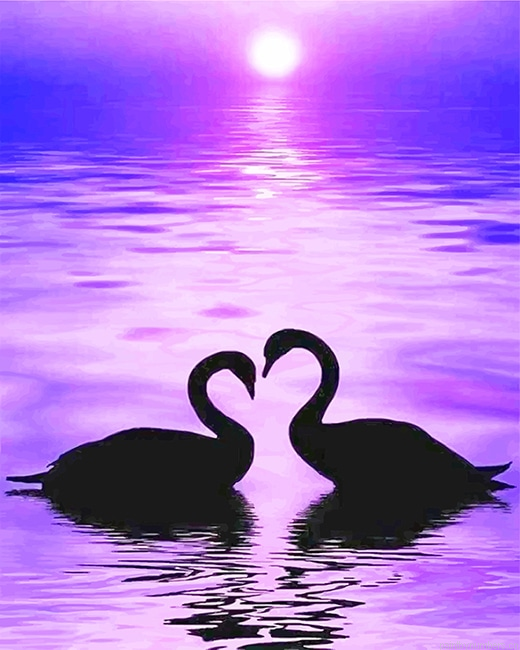 Ducks In Love Silhouette Birds Painting By Numberss.png