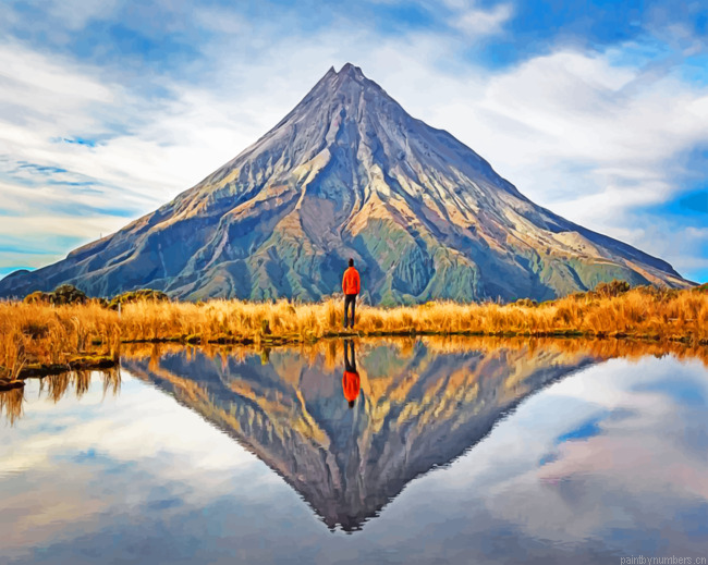 Dunedin New Zealand Painting By Numbers.png
