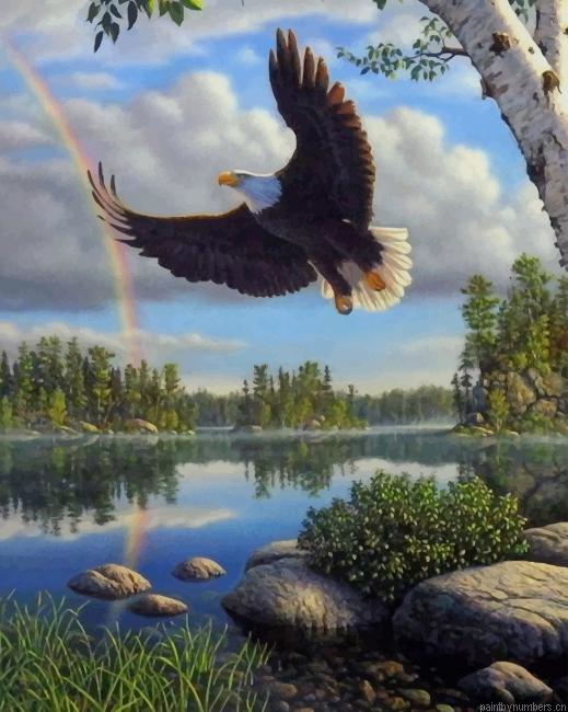 Eagle Bird In Nature Painting By Numberss.png