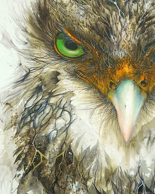 Eagle Bird Painting By Numbers.png