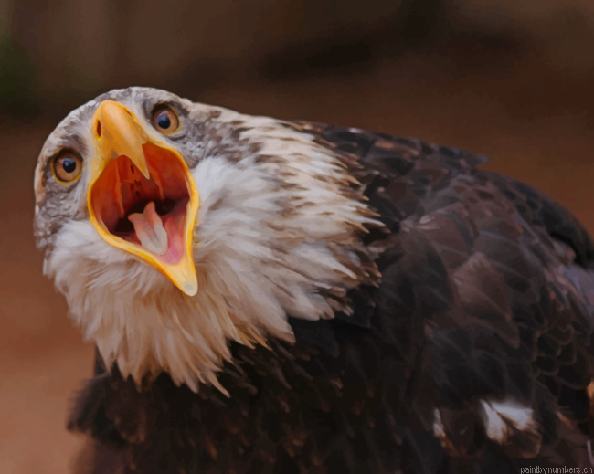Eagle Bird Shouts Painting By Numberss.png