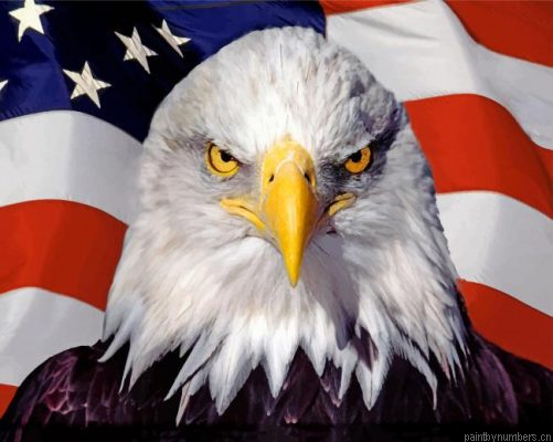 Eagle Flag Painting By Numbers.png