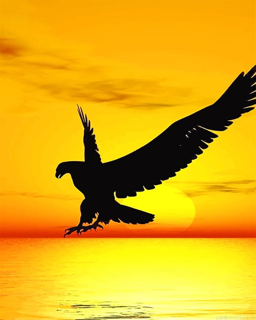 Eagle Silhouette Birds Painting By Numberss.png