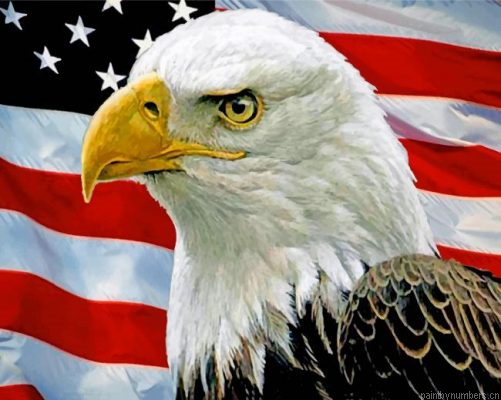 Eagle Usa Flag Painting By Numbers.png