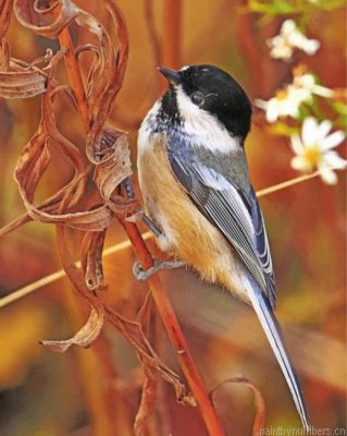 Early Bird Chickadee Painting By Numbers.png