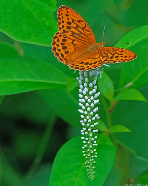 Eastern Orange Butterfly Painting By Numbers.png
