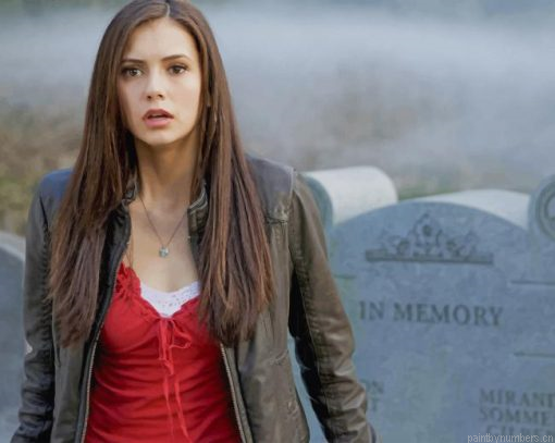 Elena Vampire Diaries Painting By Numbers.png
