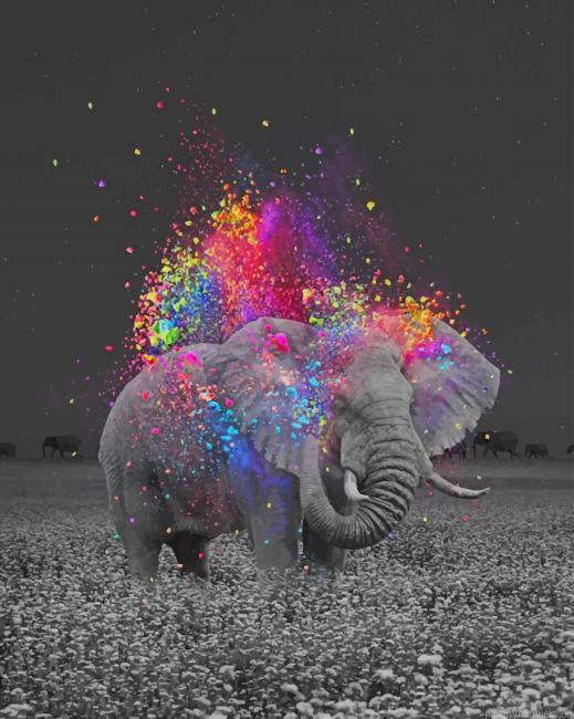 Elephant And Colors Painting By Numberss.png