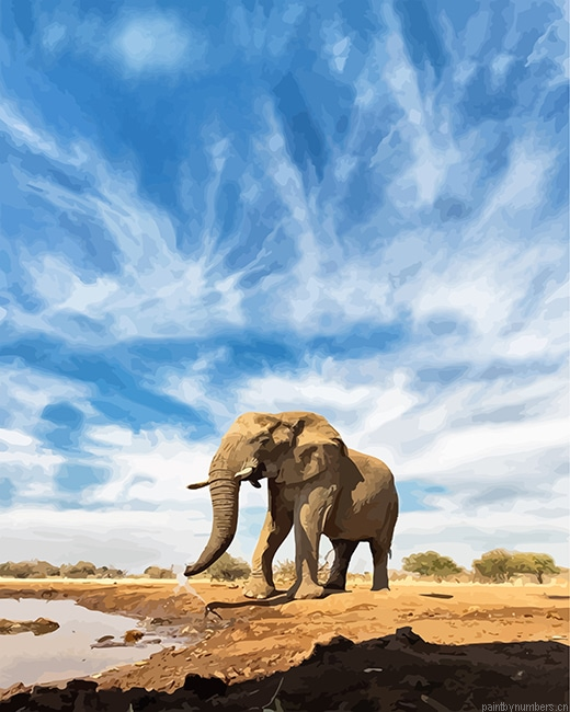 Elephant Animals Painting By Numberss.png