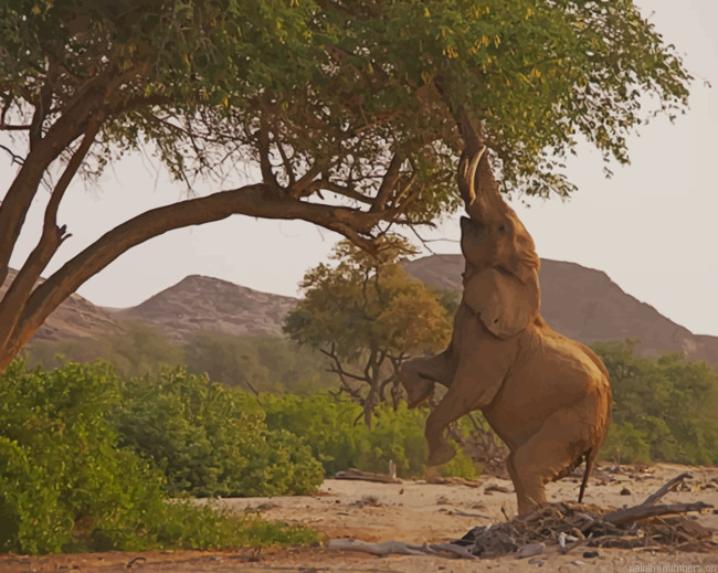 Elephant Climbing A Tree Animals Painting By Numberss.png