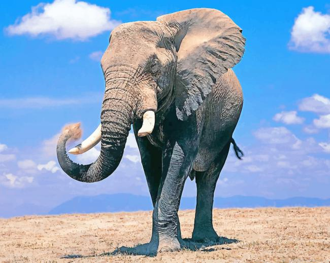 Elephant In Africa Animals Painting By Numberss.png