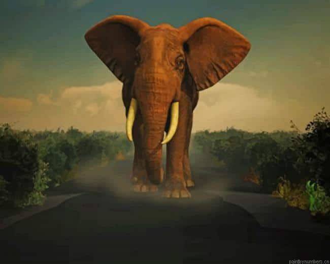 Elephant In Road Animals Painting By Numberss.png