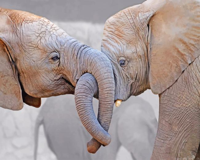 Elephant Lovers Animals Painting By Numberss.png