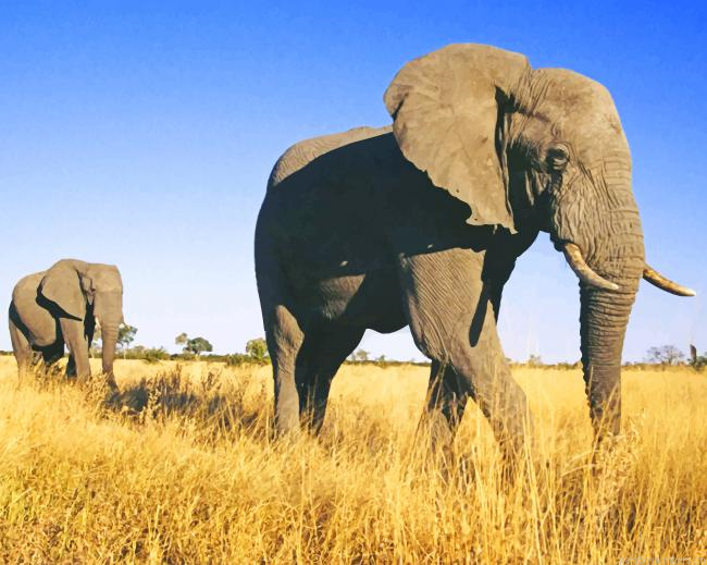 Elephant Mother With Her Calf Animals Painting By Numberss.png