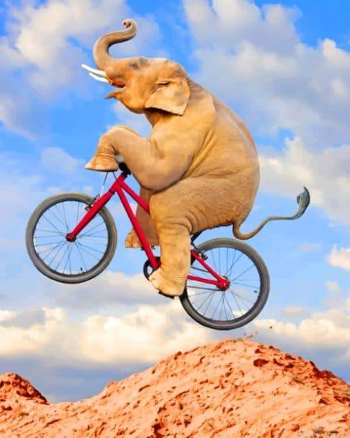 Elephant On Bicycle Painting By Numberss.png