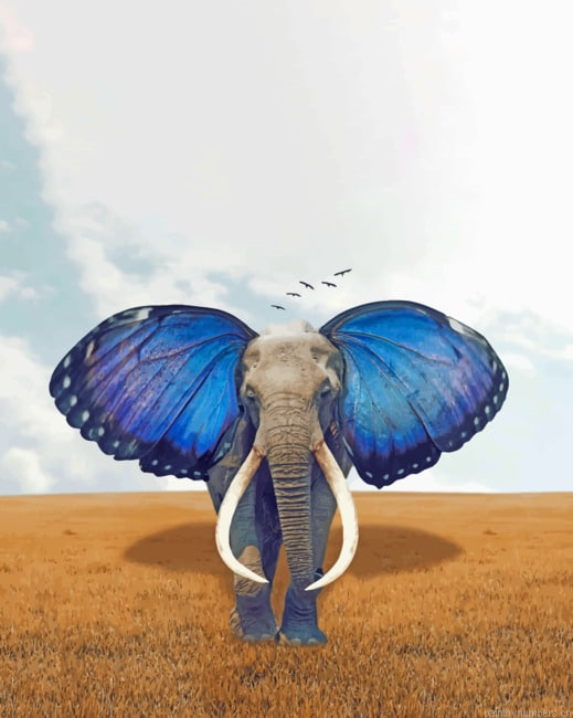 Elephant With Butterfly Ears Animals Painting By Numberss.png