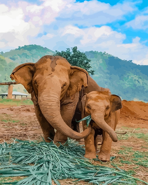 Elephants In Thailand Animals Painting By Numbers.png