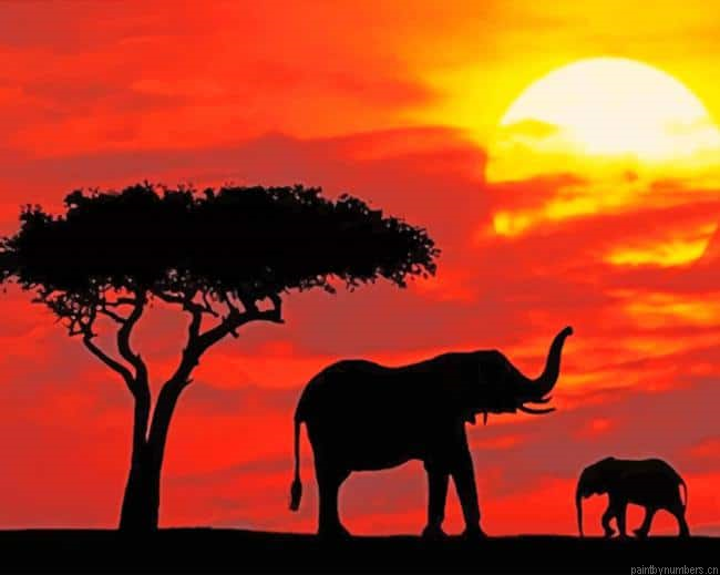 Elephants Sunset Animals Painting By Numbers.png