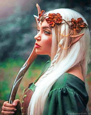 Elf Woman Painting By Numbers.png