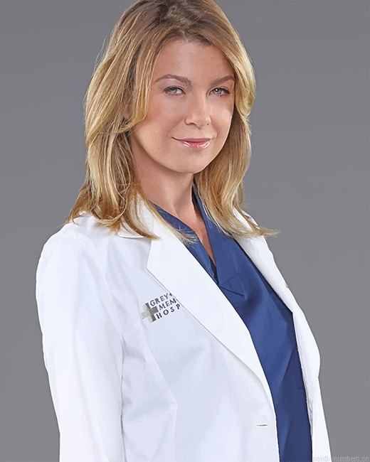 Ellen Kathleen Pompeo Meredith Grey Painting By Numberss.png