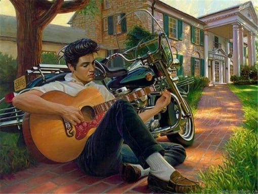 Elvis Presley Painting By Numberss.png