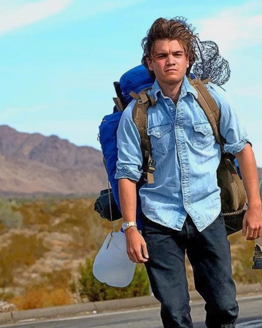 Emile Hirsch Into The Wild Movies Painting By Numberss.png