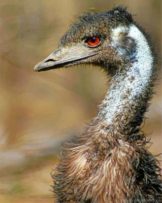 Emu Portrait Painting By Numbers.png