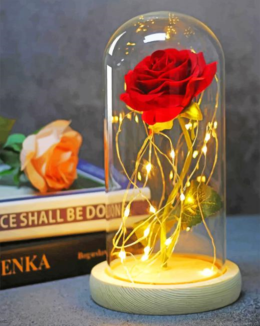 Enchanted Red Rose Painting By Numberss.png