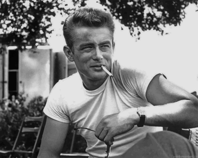 Enigma Of James Dean Painting By Numbers.png