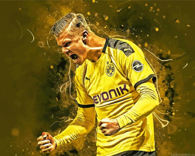 Erling Haaland Art Painting By Numberss.png