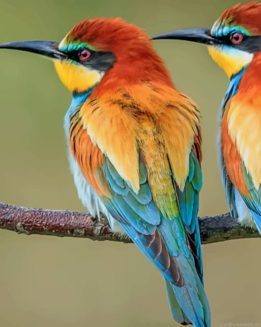 European Bee Eater Birds Painting By Numberss.png