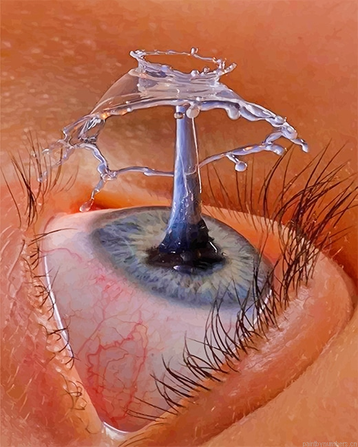 Eye Drop Painting By Numberss.png