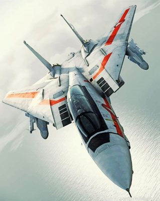F14 Airplane Painting By Numbers.png