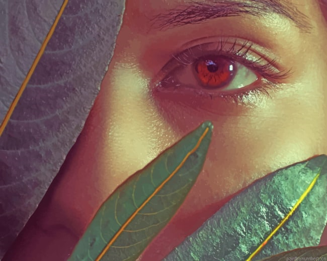Face Behind Leaves Painting By Numberss.png