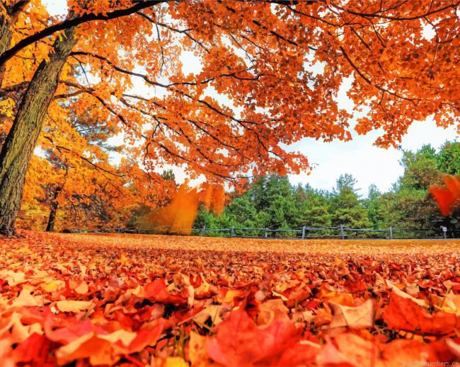 Fall Leaves Nature Painting By Numberss.png
