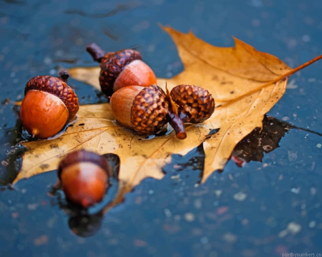 Fall Mood Puddle Rain Autumn Painting By Numberss.png