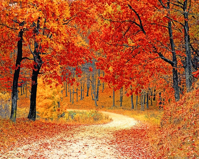 Fall Red Forest Painting By Numberss.png