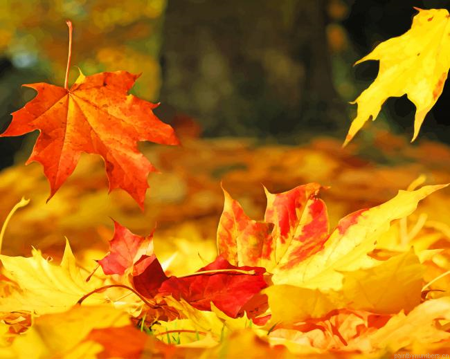 Falling Leaves Painting By Numberss.png