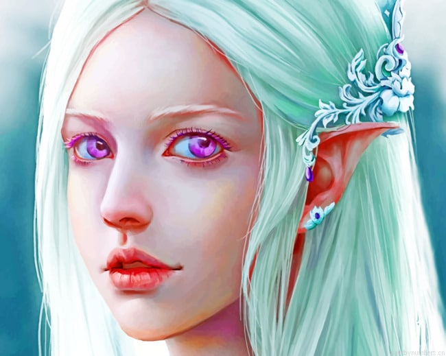 Fantasy Elf With Violet Eyes Painting By Numberss.png