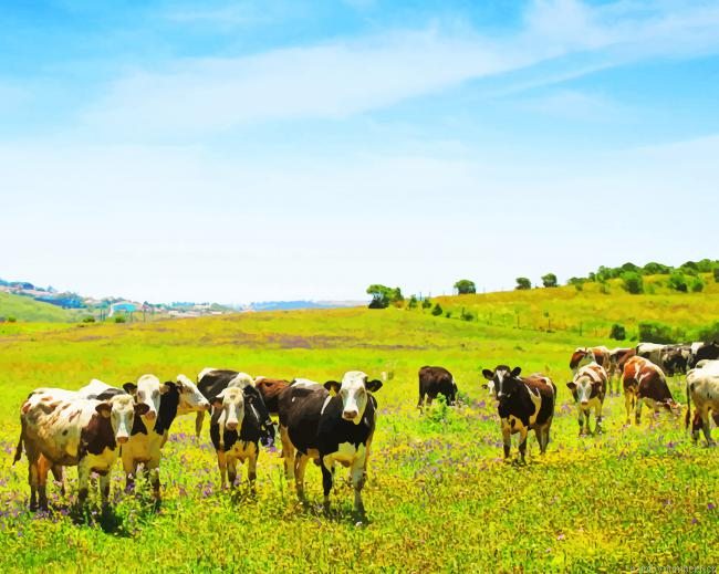 Farm Landscape With Animals Painting By Numberss.png