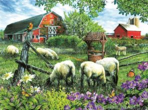 Farm Sheep Painting By Numberss.png