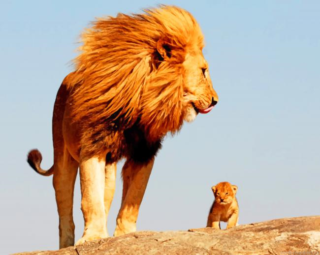 Father And Sun Lions Animals Painting By Numberss.png